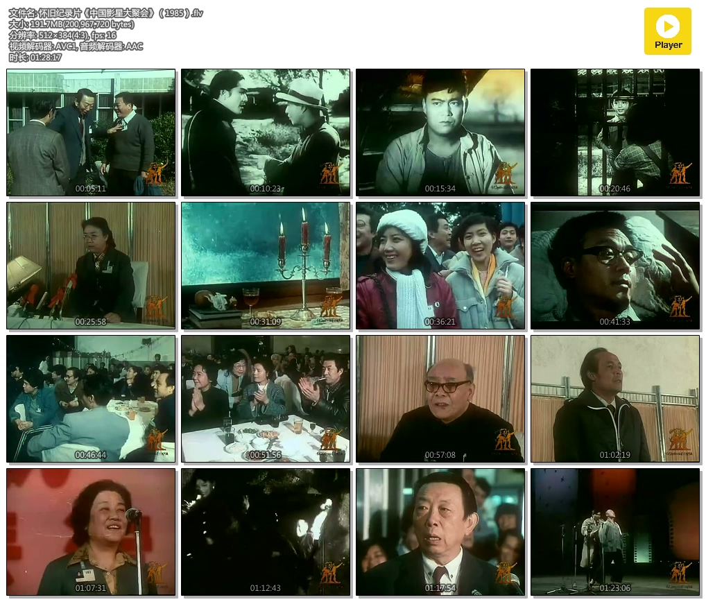 怀旧纪录片《中国影星大聚会》（1985）.flv.jpg