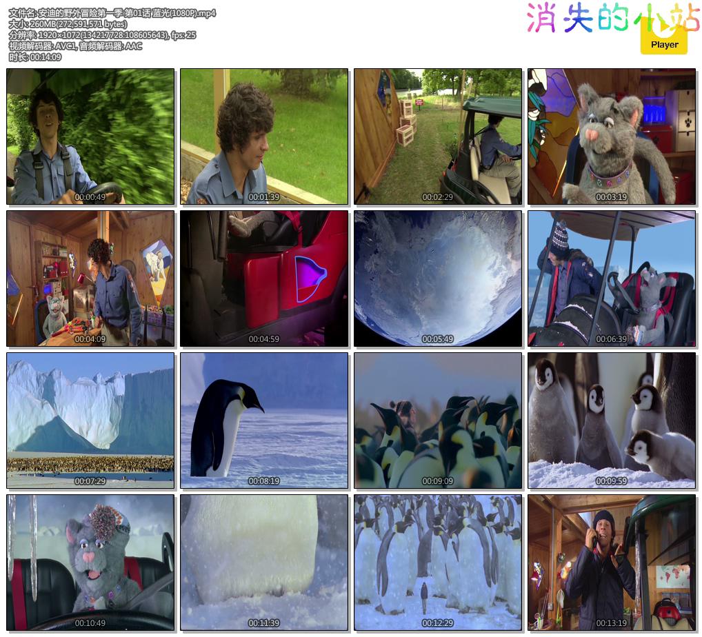 安迪的野外冒险第一季 第01话 蓝光(1080P).mp4.jpg