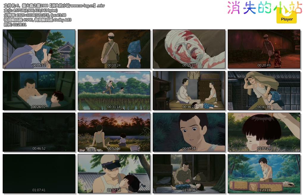 5、螢火蟲之墓1988【消失的小站 www.xs-log.cn】.mkv.jpg