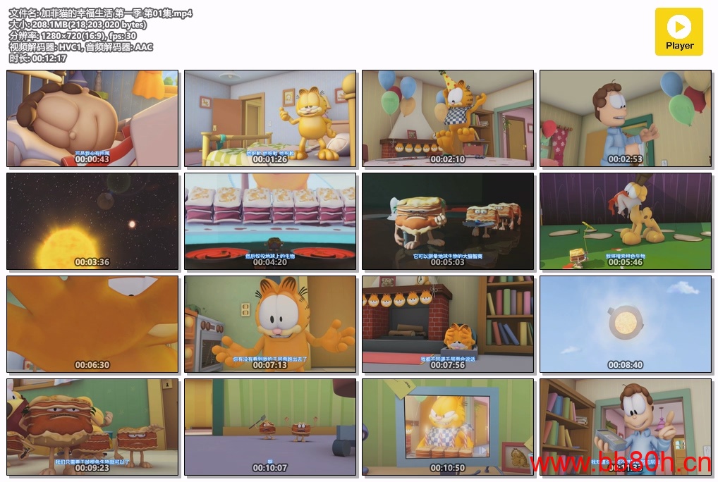 [加菲猫的幸福生活][The Garfield Show][大食懒加菲猫][2009年][外语][简字][第一季][无水印][阿里云][884]